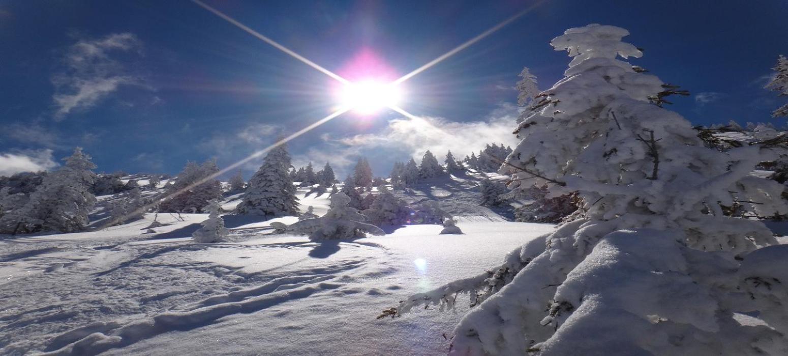 Ski-In, Ski-Out By Apartment Managers Kirchberg in Tirol Ngoại thất bức ảnh